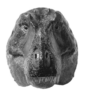 The Binocular Vision in Theropod Dinosaurs